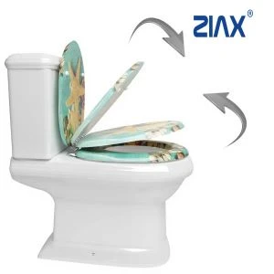 How to tell if a toilet seat damper needs replacement