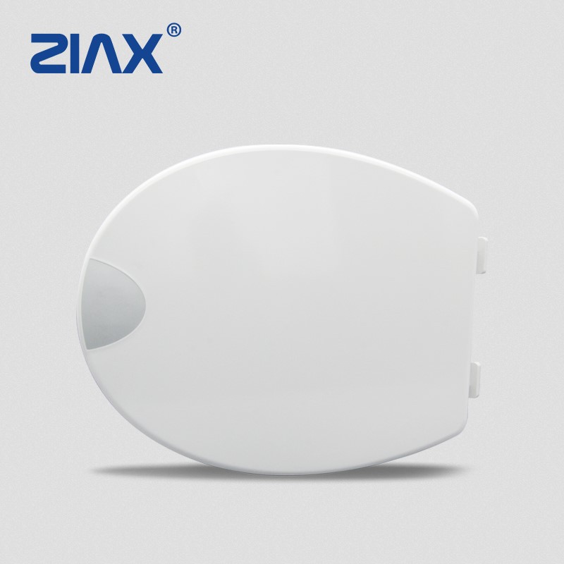 toilet seat and cover toilet seat and cover